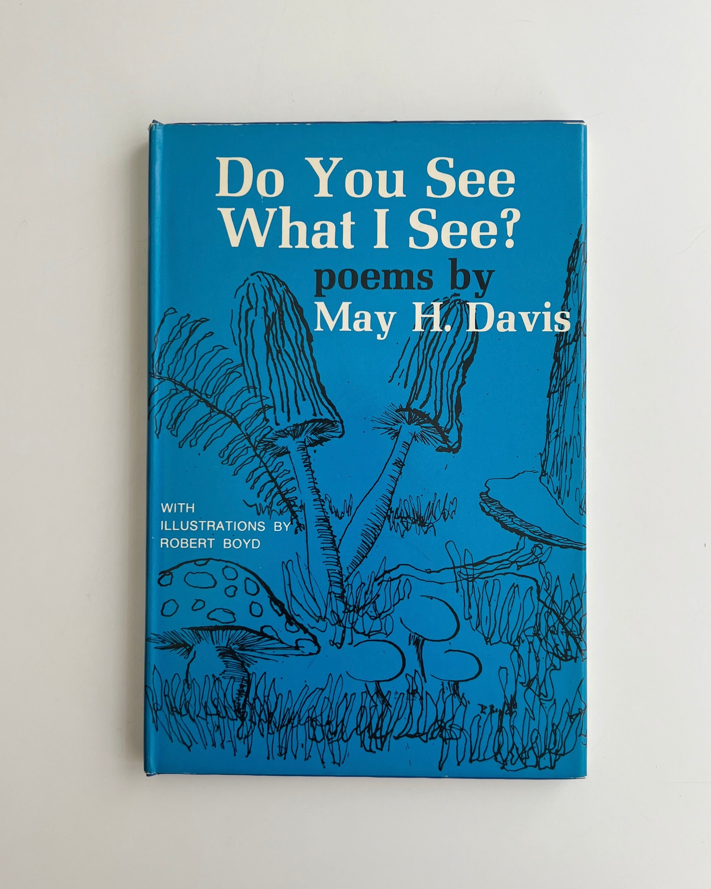 Do You See What I See? - Children's Book