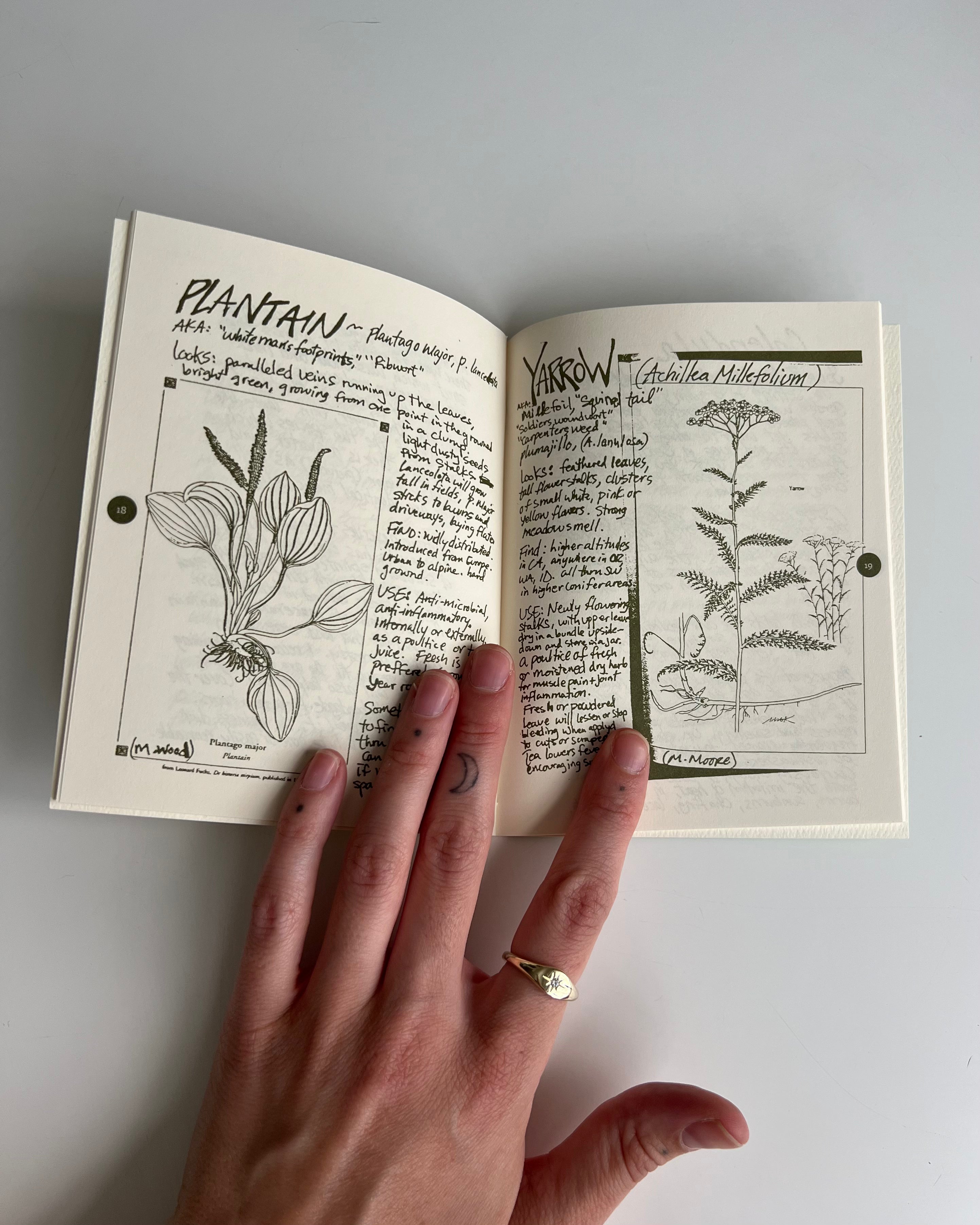 Cat's Claw Herbal: DIY Medicinal Skincare - Zine