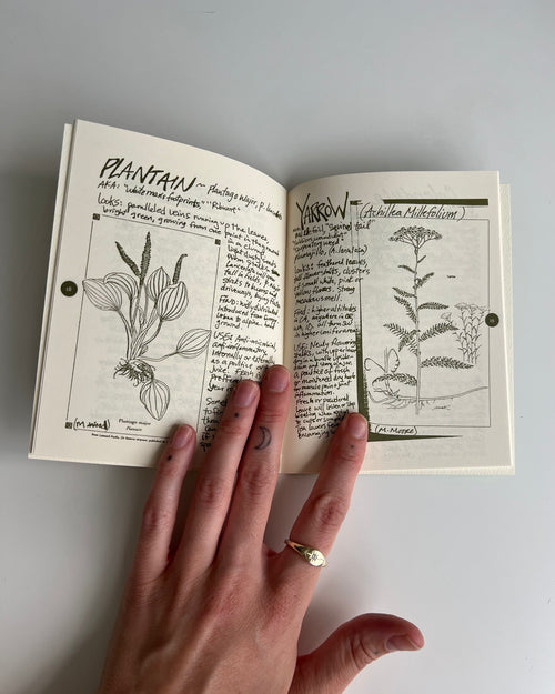 Cat's Claw Herbal: DIY Medicinal Skincare - Zine